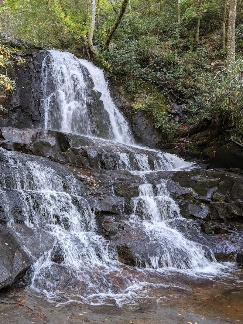 Laurel Falls Trail, Great Smoky Mountains National Park