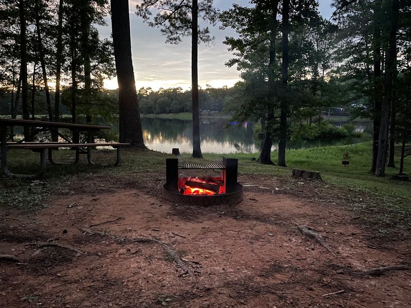10 Best Stargazing Spots In Georgia Where August Nights Showcase The Full Milky Way - Decor Hint F.D. Roosevelt State Park