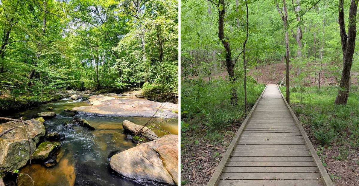 An Hour Outside Atlanta Georgia Has A State Park That Completely Feels Like Wilderness - Decor Hint