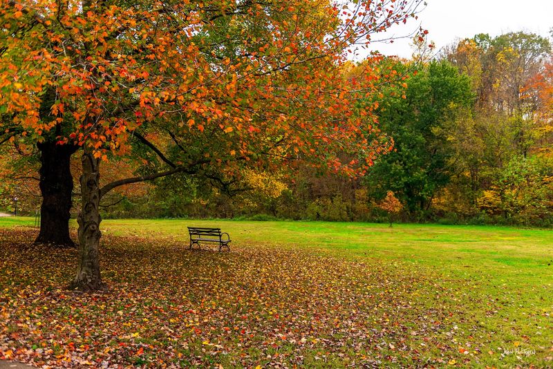 Few Walking Trails In Kentucky Feel As Calm And Peaceful As These 9 Senior-Friendly Gems - Decor Hint Cherokee Park Scenic Loop