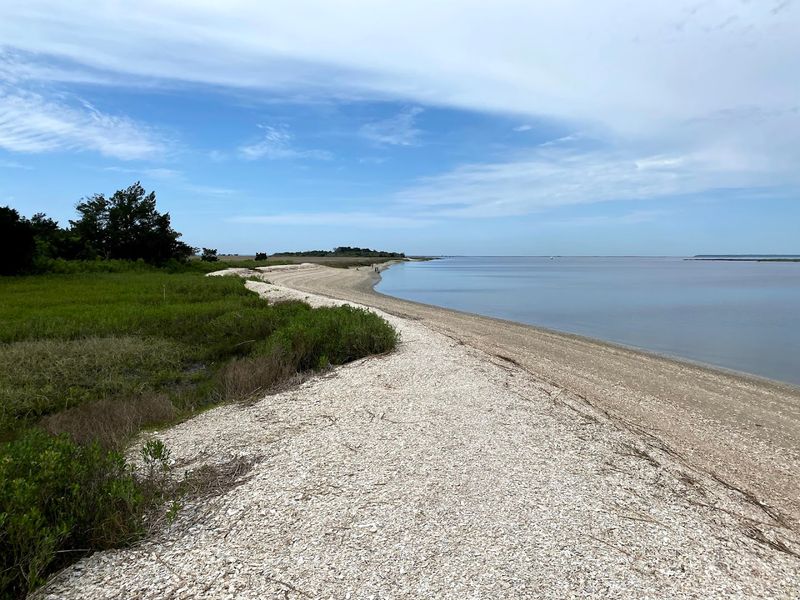 Head To This Underrated Georgia Beach For An Incredible Fossil Hunting Adventure - Decor Hint What About 5,700 Acres Of Preserved Georgia Coastline Actually Looks Like