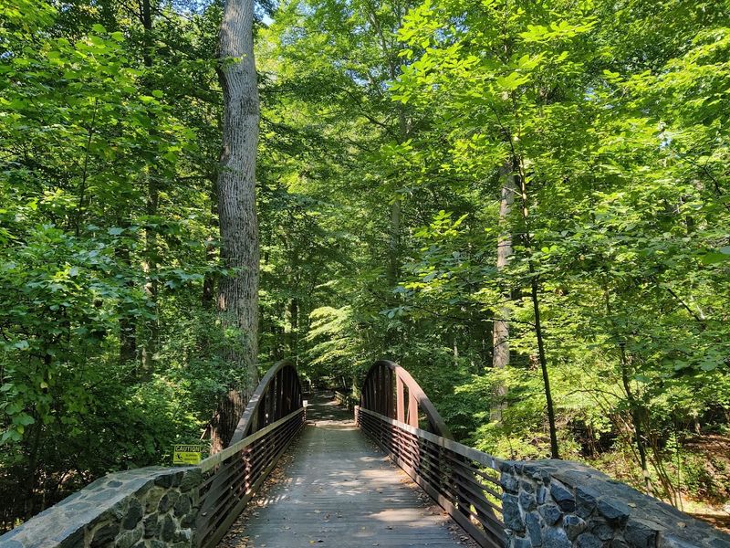 Trails Worth Every Step