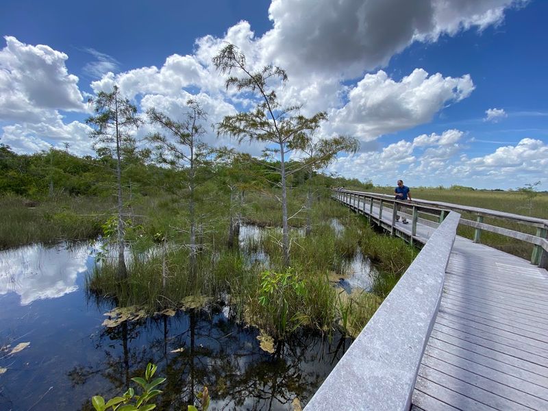 13 Florida Hikes Under Five Miles That Reward You With Amazing Views - Decor Hint Pa-Hay-Okee Overlook Trail, Everglades National Park, Homestead