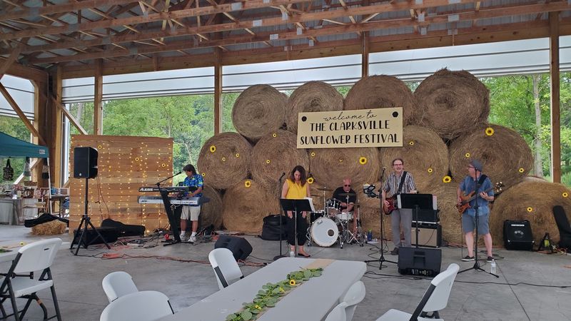 This Sunflower Field In Maryland Captures Peak Summer Magic - Decor Hint Seasonal Events Keep Things Fresh