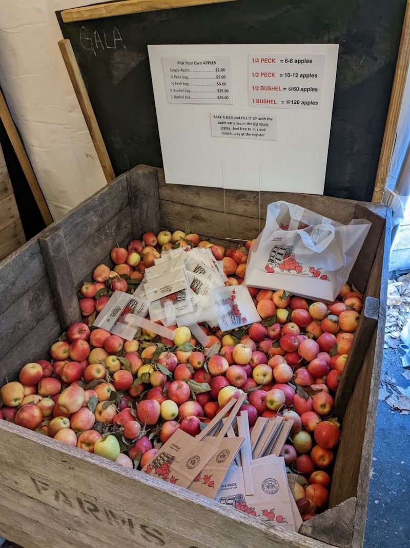 Food Beyond The Donuts