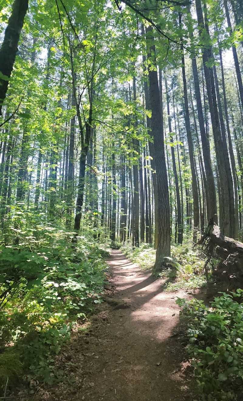 Washington's Most Enchanting Hidden Gnome Trail Will Spark Your Inner Child - Decor Hint Year-Round Access Makes This Trail A Reliable Favorite