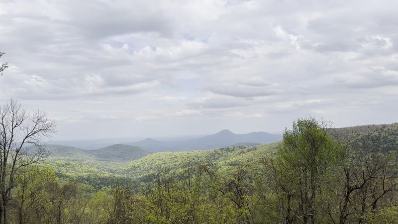 Wildlife And Forest Life Throughout The Chattahoochee