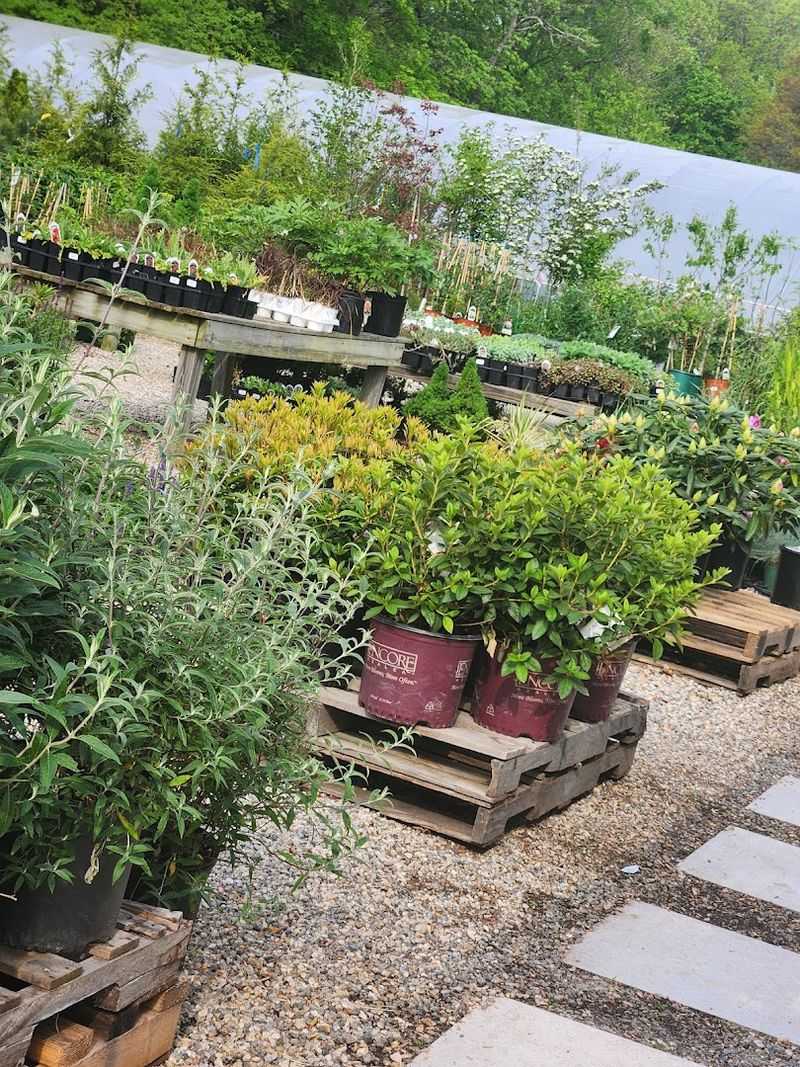 This Connecticut Herb Farm Is Filled With Fragrant Gardens Most People Never Knew Existed - Decor Hint Theme Gardens Add Color Beyond The Store