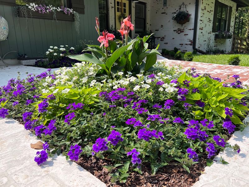 This Hidden Georgia Flower Farm Is A Colorful Escape Of Blooms, Greenhouses, And Garden Charm - Decor Hint Perennials That Keep Giving Year After Year