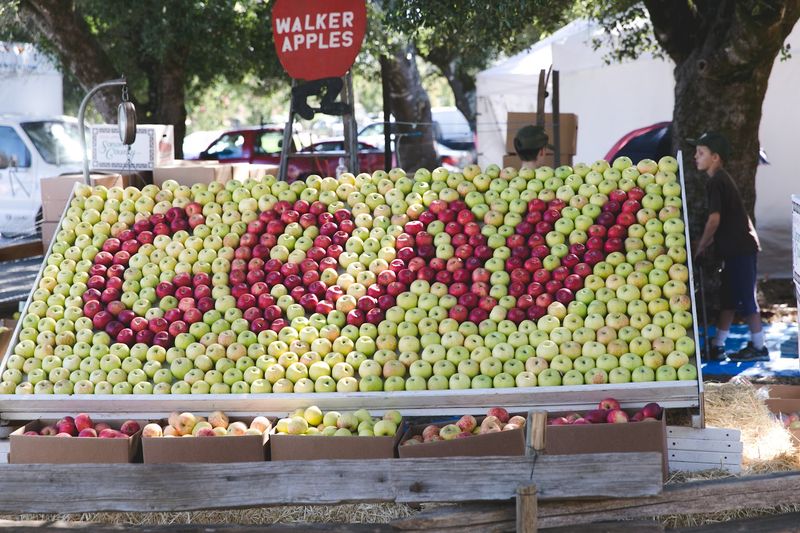 Fresh-Picked Apples Arrive Straight From Local Farms