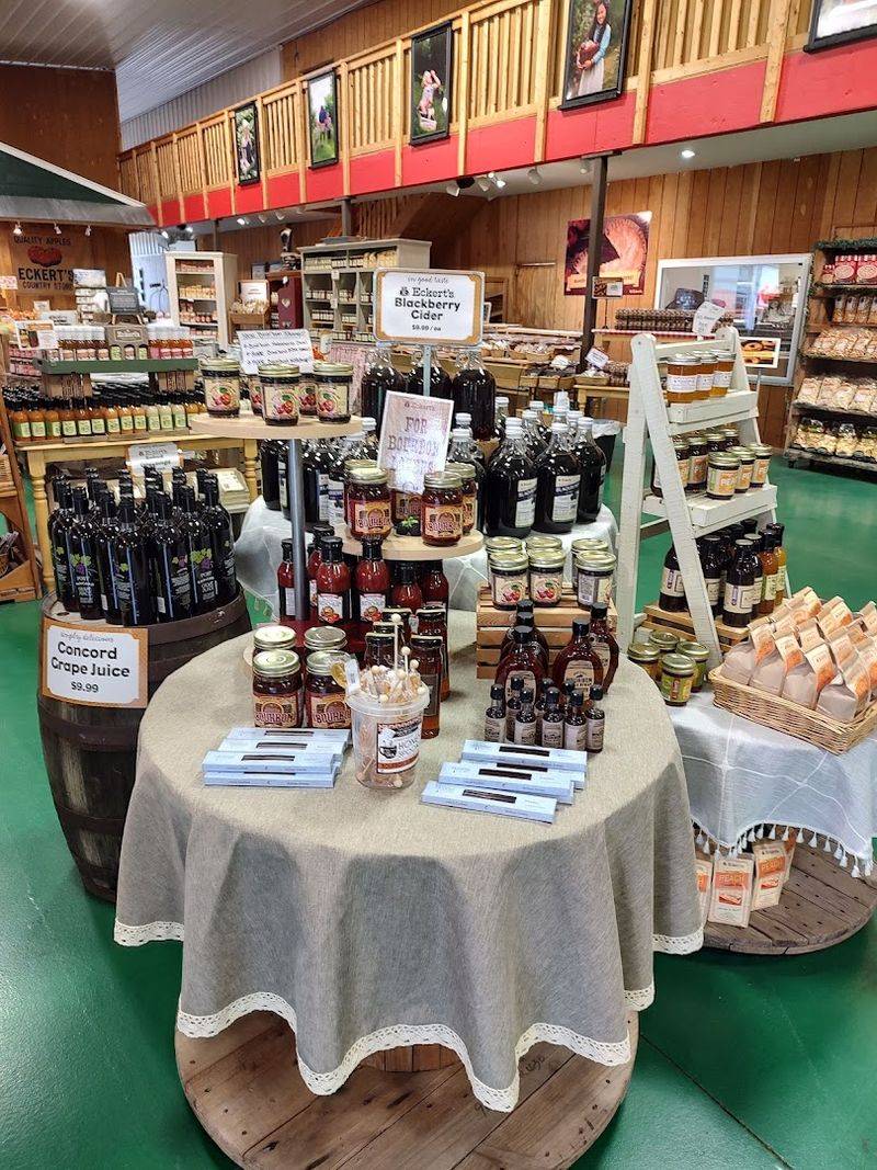 Pick Your Fresh Kentucky Blackberries & Experience Farm Fun All Season Long - Decor Hint The Farm Store Packed With Local Goods