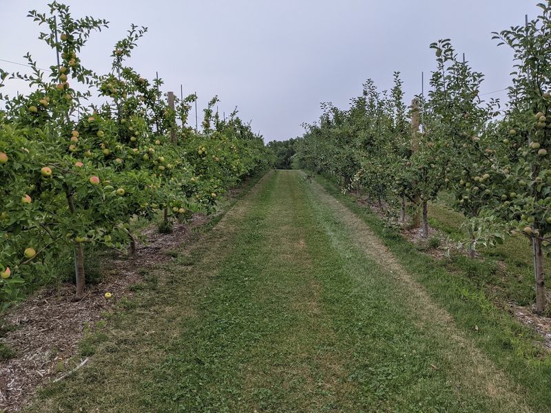 The U-Pick Season Continues Through October
