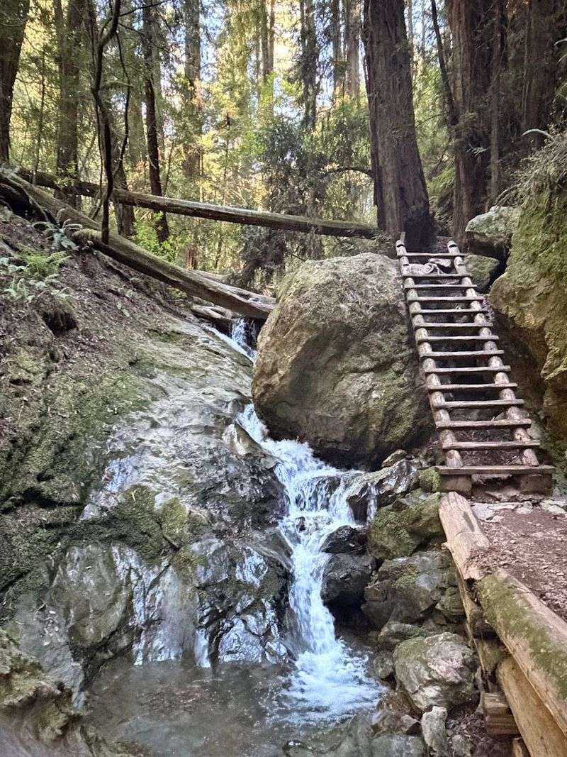 11 Gorgeous Northern California Day Trips You Can Take For Under $65 - Decor Hint Mount Tamalpais State Park (Marin County)
