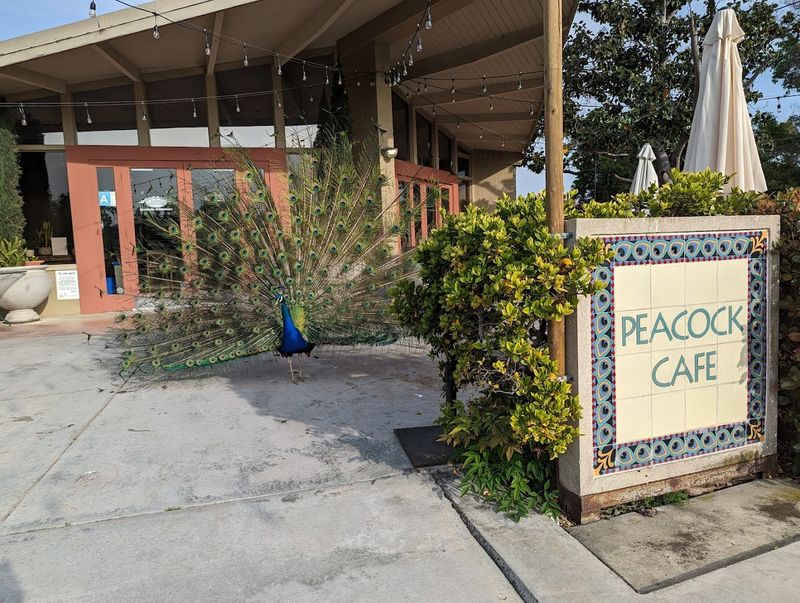 Make The Gift Shop Or Cafe Your Cool-Down Stop