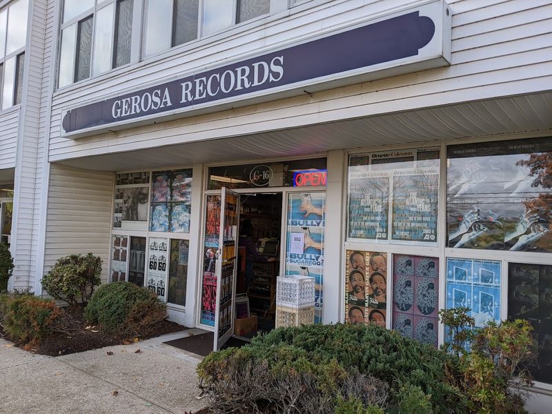 Why Collectors Never Leave After Just One Visit
