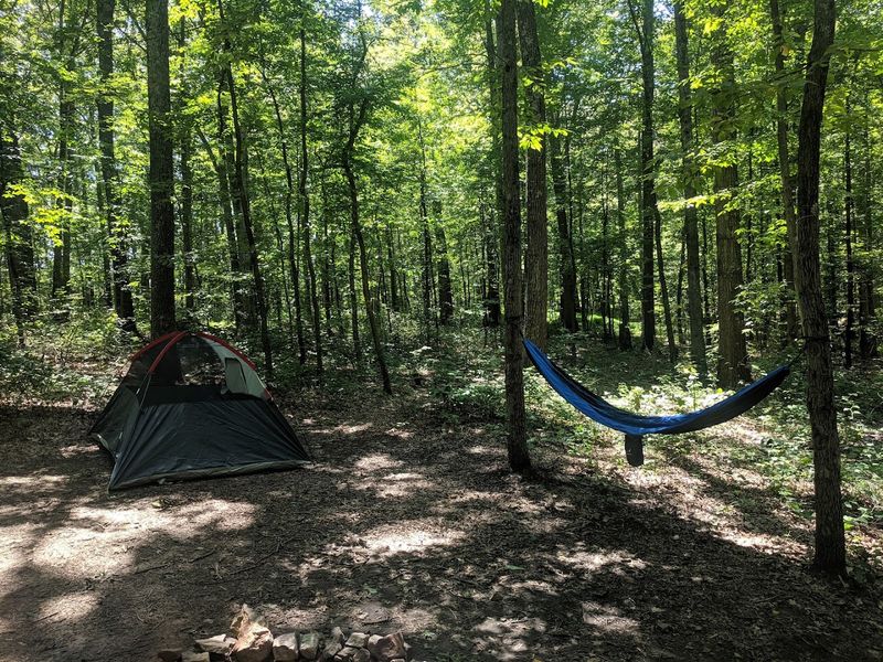 Green Ridge State Forest, Flintstone