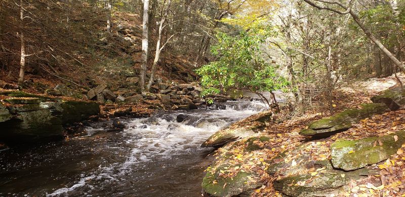 First-Time Riders Should Check The Trail Map