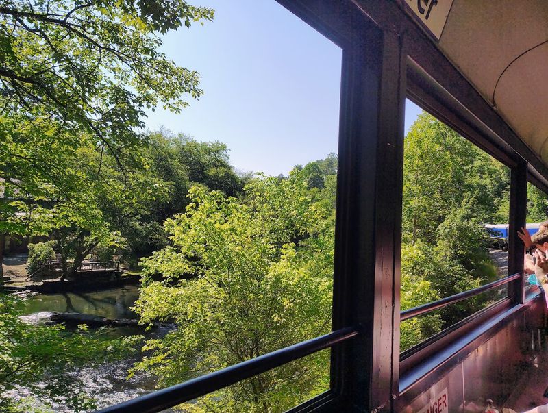 Wildlife, River Views, And The Chattahoochee National Forest