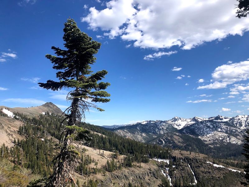 Environmental Groups Are Not Completely United