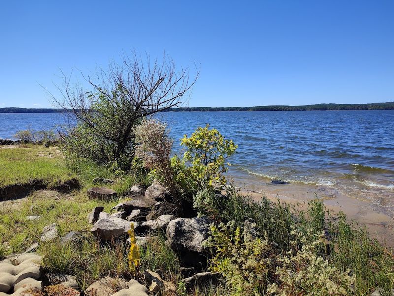 10 North Carolina Outdoor Spots Where Summer Hikers Should Stay Tick-Aware - Decor Hint Pittsboro / Jordan Lake Wooded Areas
