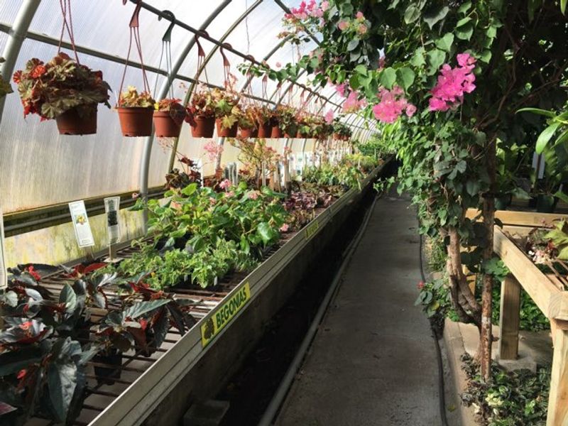Logee's Plant Store And Historic Greenhouses, Danielson