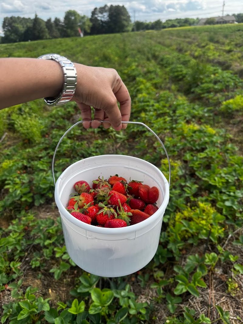 Filasky's Produce, Middletown