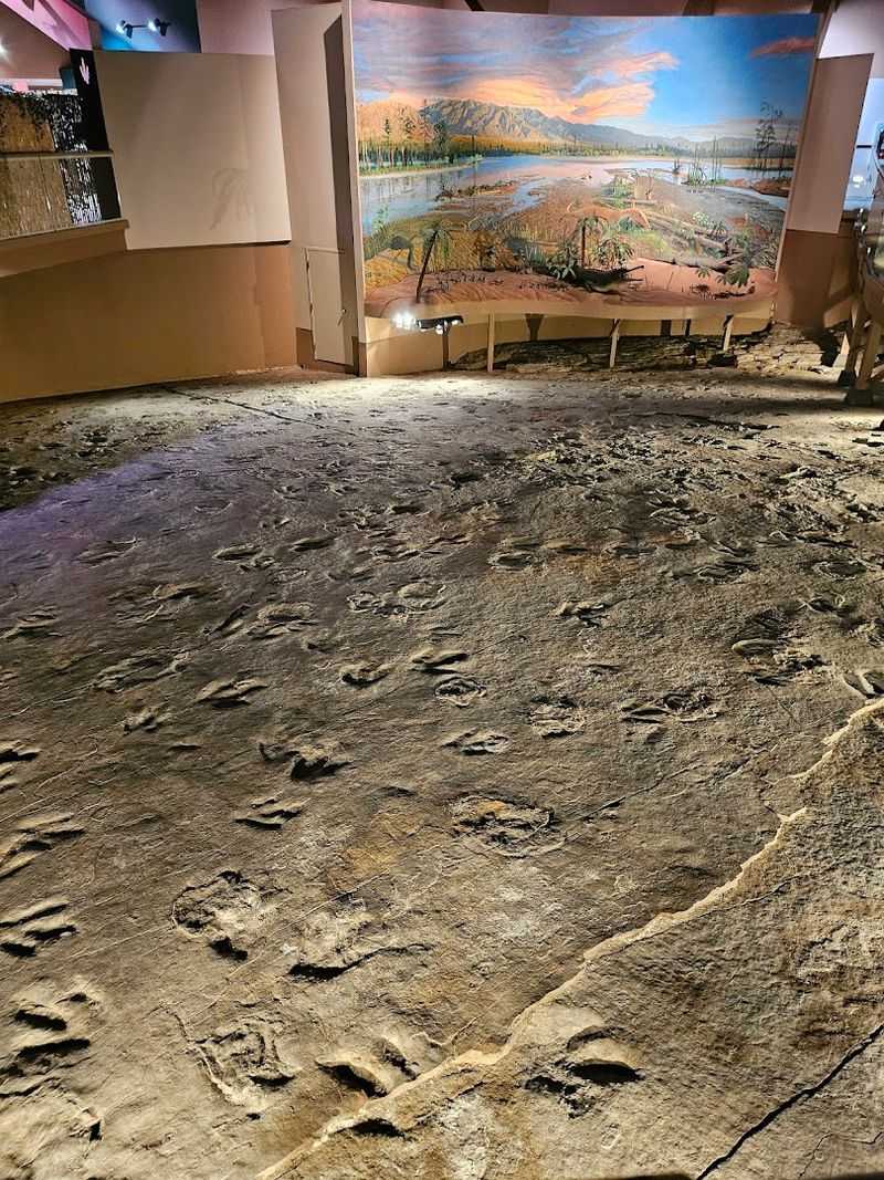 Dinosaur State Park, Rocky Hill