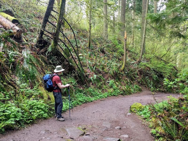 Little Pinnacle Overlook Trail