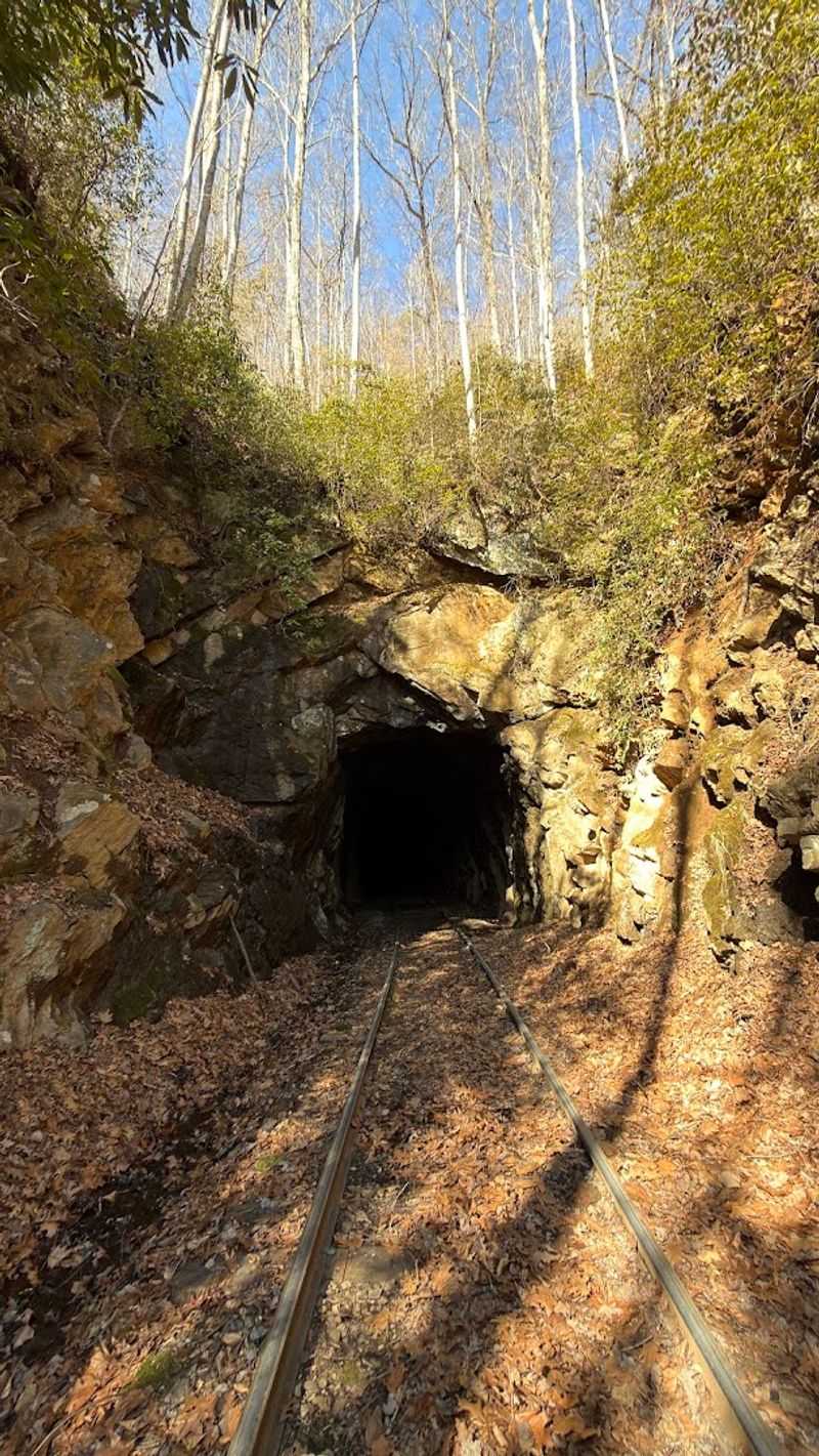 Cowee Tunnel