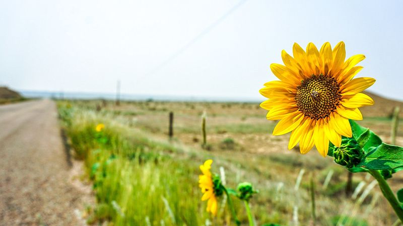 This Colorado Town Might Be The Last Affordable Paradise With Homes Below $200,000 - Decor Hint Comanche National Grassland Access
