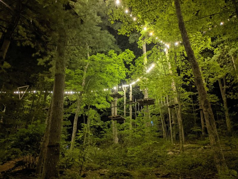 Ultimate Outdoor Adventure Spot In Connecticut Where The Trees Become The Playground - Decor Hint Forest Fun Near Storrs Center