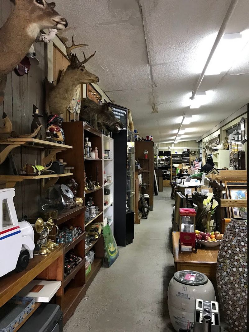 Salvage Finds With Real Character