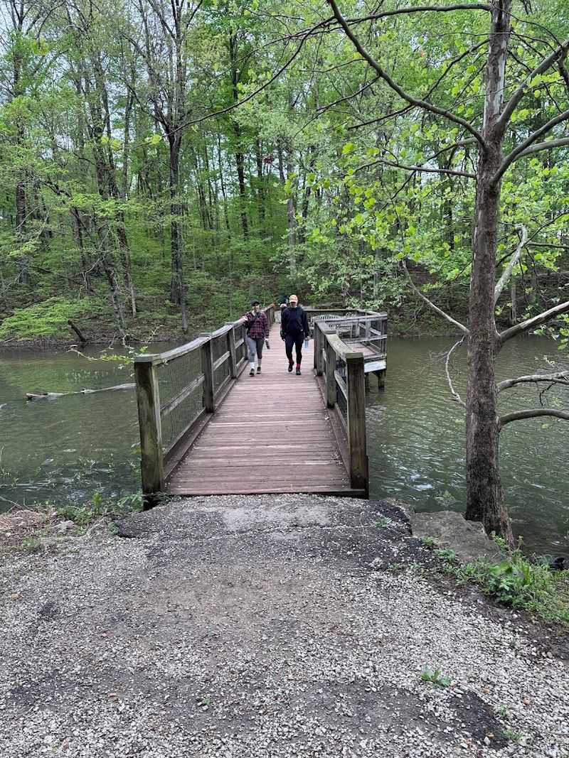 This Kentucky Trail Leads Families Past Sleeping Giants, And Kids Follow Their Footprints To Find Them - Decor Hint Why This Spot Resonates With Adults Just As Much As Kids