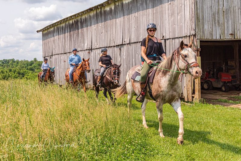 Red Fern Riding Center At Shelby Trails Park