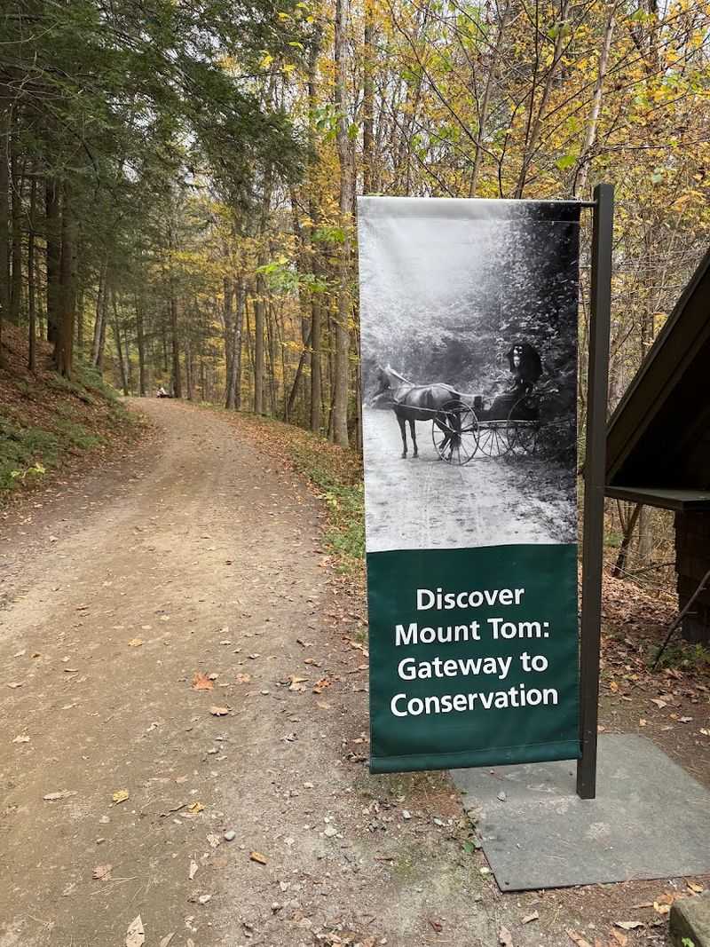 This Charming Vermont Town Is Best Explored On A Lazy Weekend Drive - Decor Hint Trails Through A National Treasure