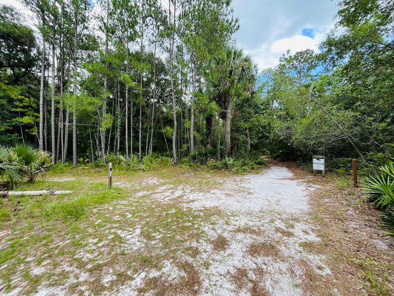 13 Florida Hikes Under Five Miles That Reward You With Amazing Views - Decor Hint Sand Lake Overlook Trail, Wekiwa Springs State Park, Apopka