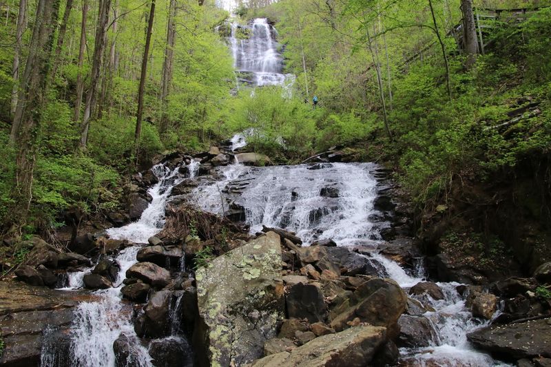 10 Best Stargazing Spots In Georgia Where August Nights Showcase The Full Milky Way - Decor Hint Amicalola Falls State Park