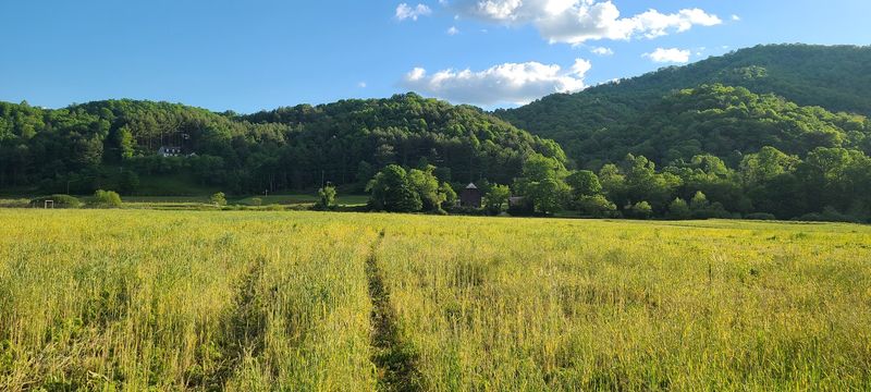 10 North Carolina Outdoor Spots Where Summer Hikers Should Stay Tick-Aware - Decor Hint Valle Crucis / Watauga River Valley