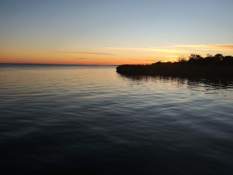 This Florida Seafood Festival Turns Apalachicola Into A Beloved Small-Town Coastal Tradition - Decor Hint Live Music And Maritime Exhibits Fill Every Corner Of The Festival