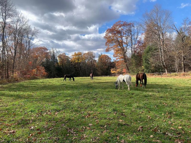 Connecticut Equestrian Center, Coventry