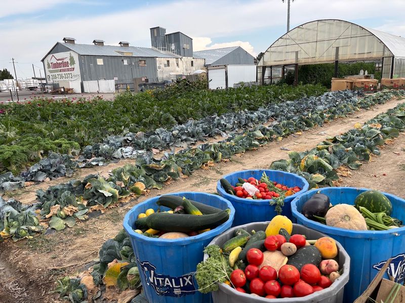 Countryside Market, Twin Falls