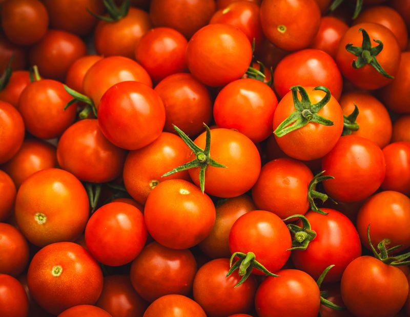 These Idaho Farms Grow The Kind Of Tomatoes Grocery Stores Cannot Compete With - Decor Hint Sonshine Acres