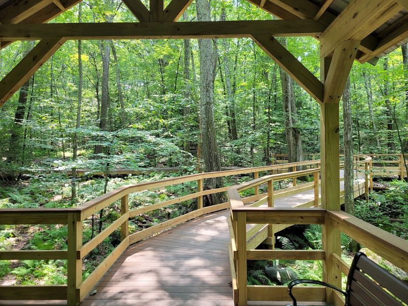 This Senior-Friendly Connecticut Nature Trail Offers Benches, Shade, And A Peaceful Woodland Walk - Decor Hint Shaded Benches Offer Comfortable Breaks