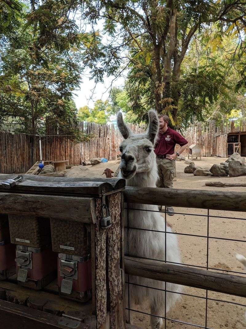 Zoo Boise