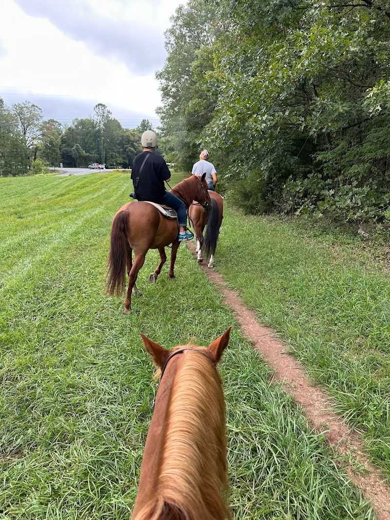 Sunset Rides and Seasonal Magic