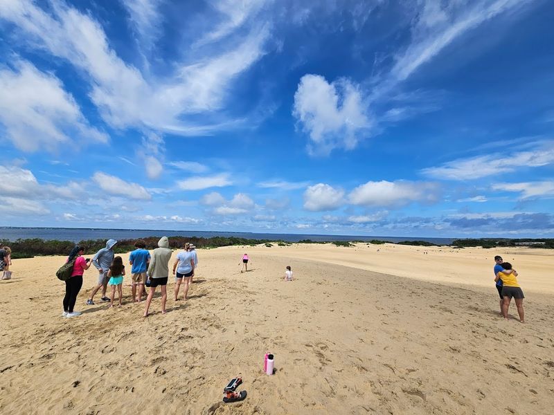 Tracks In The Sand Trail