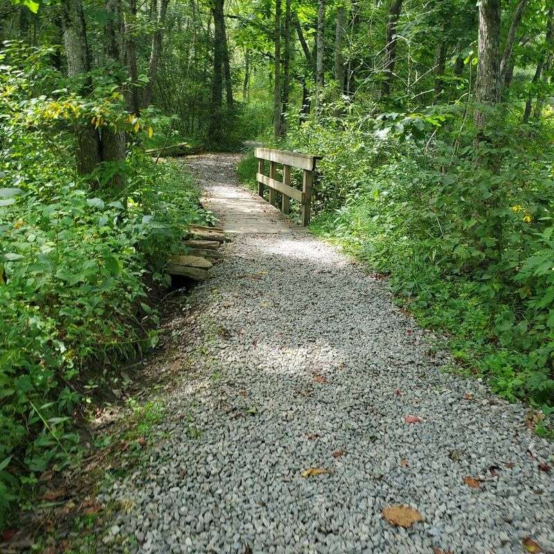10 North Carolina Outdoor Spots Where Summer Hikers Should Stay Tick-Aware - Decor Hint Lansing / New River Area