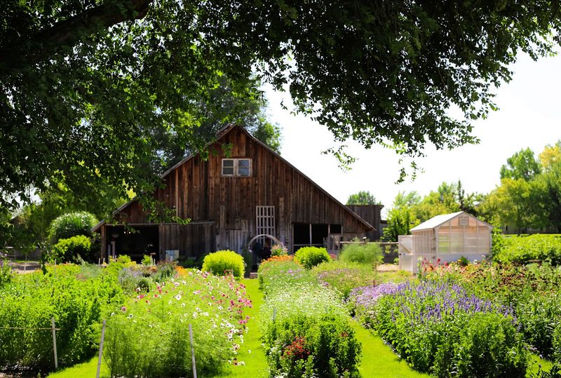 Mason Creek Flower Farm