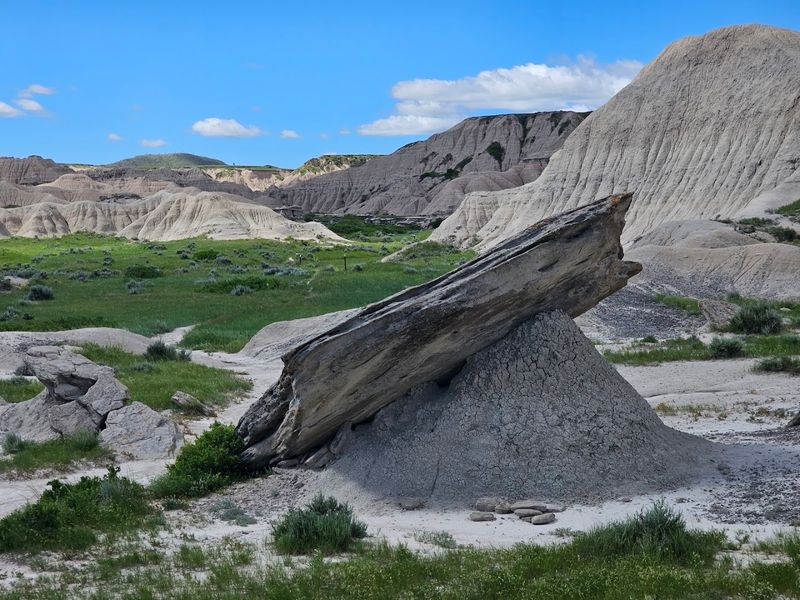 Rock Bass Reservoir Area, Oglala National Grassland