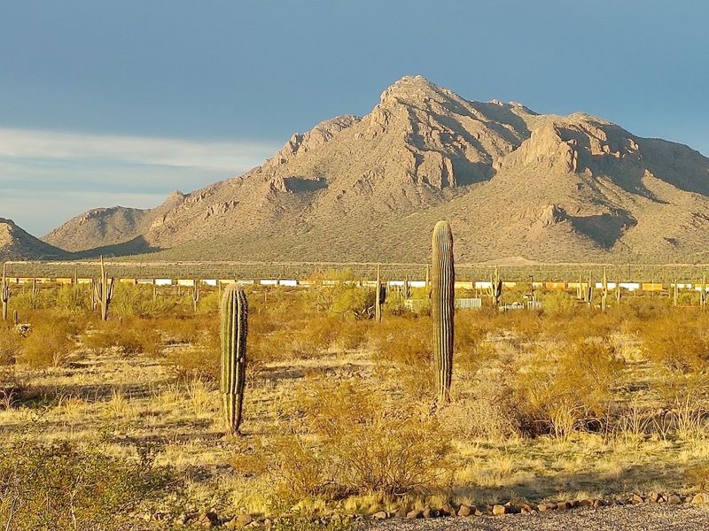 Picacho Peak State Park